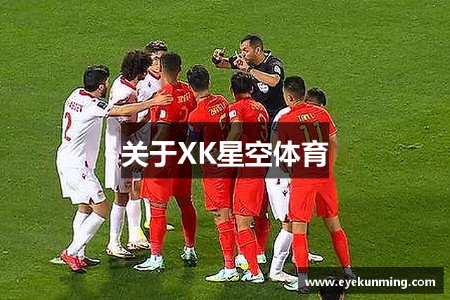 关于XK星空体育